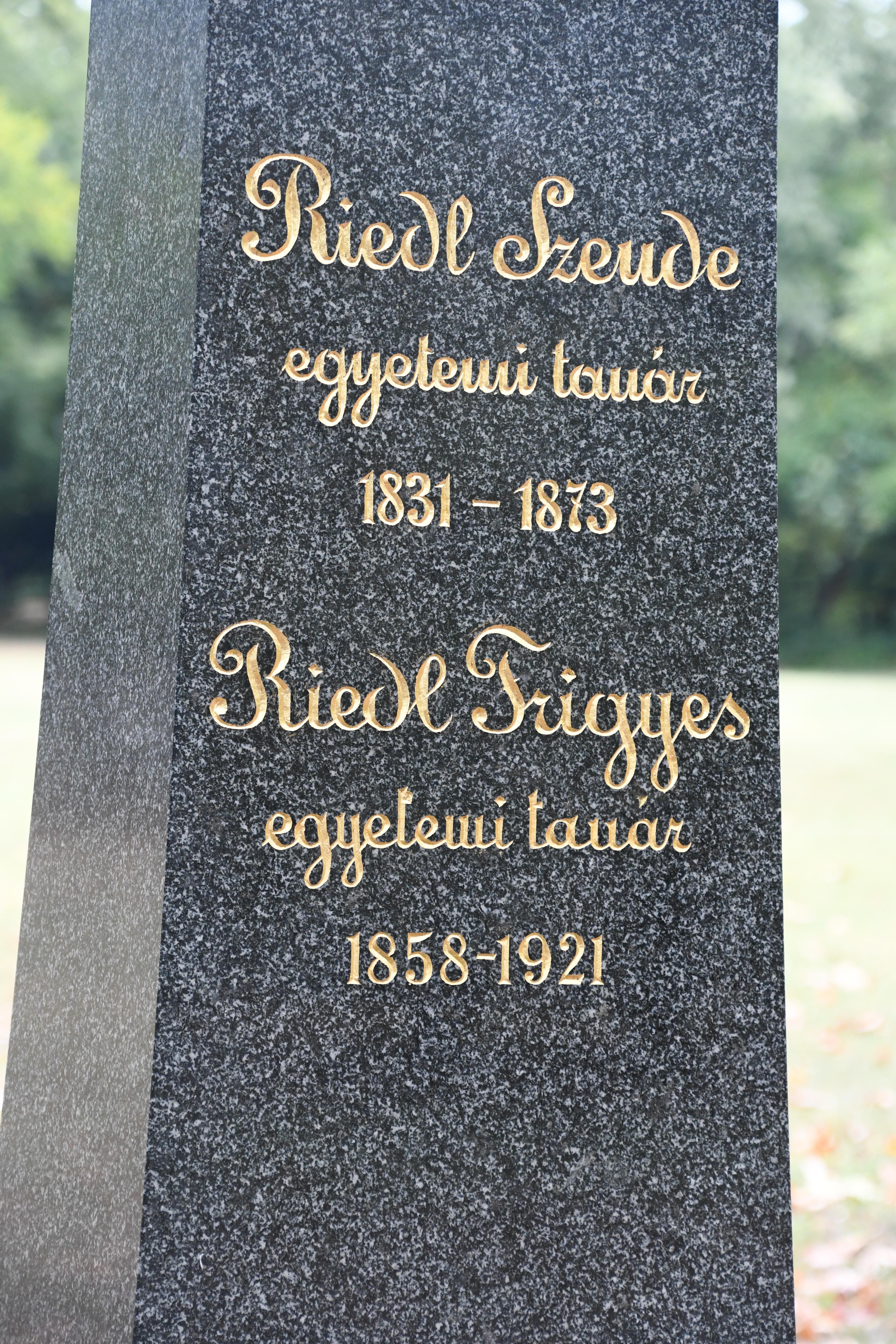 Riedl Szende és Riedl Frigyes síremlékének avatása